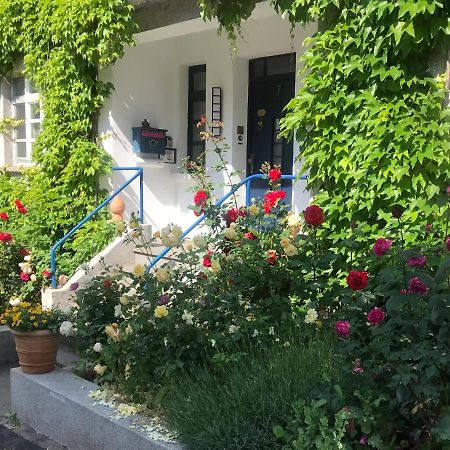 Kunsthaus Mit Gartensauna Dierdorf Dış mekan fotoğraf
